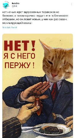 tundra 3; @04_ KOT ночью жрет здоровенных тараканов балконе, а потом мрачно пердит или поблевывает отбираем, он ловит новых, у них как раз сезон. мотивирующий плакат Translate Tweet HET! Я СНЕГО у ПЕР
