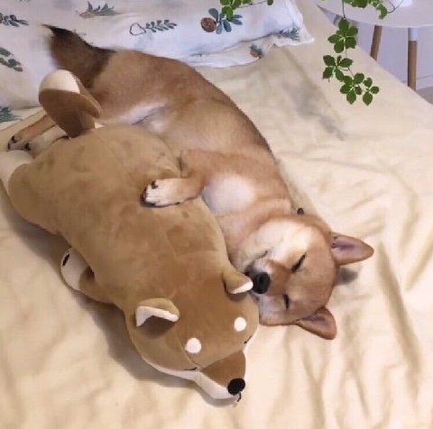a a