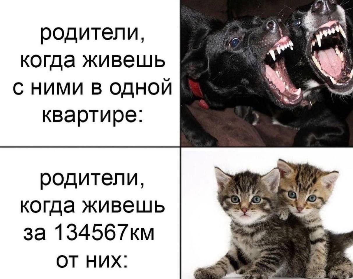 i\ родители, когда живешь С НИМИ В ОДНОЙ квартире: родители, Wis когда живешь за ОТ НИХ: