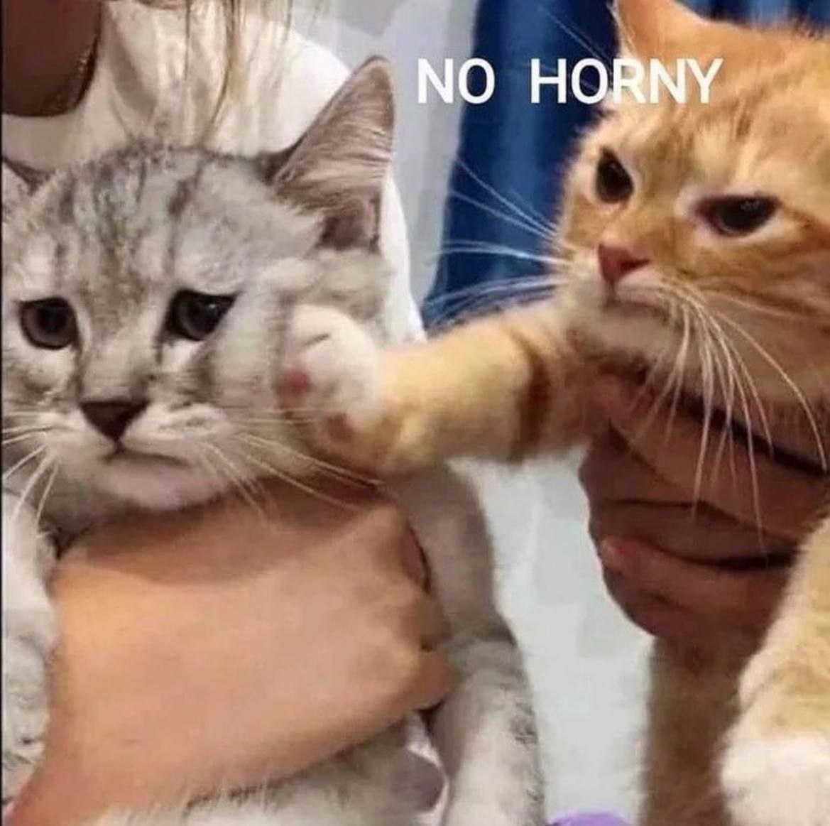 NO