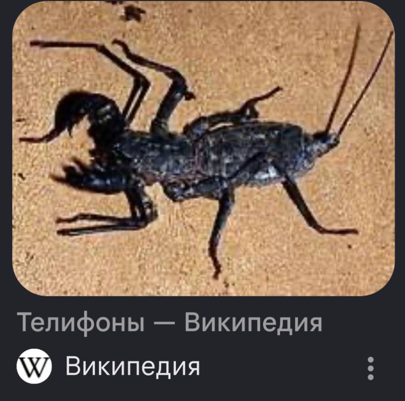Напоминаю