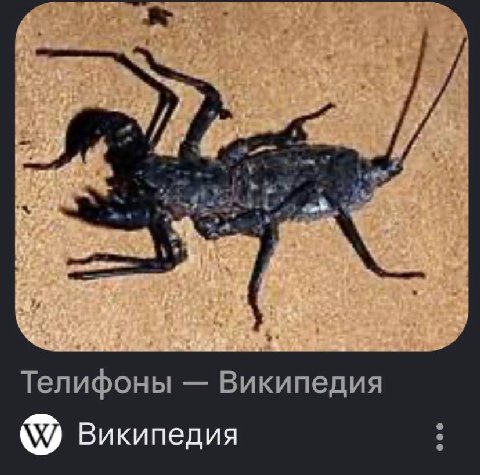 Напоминаю