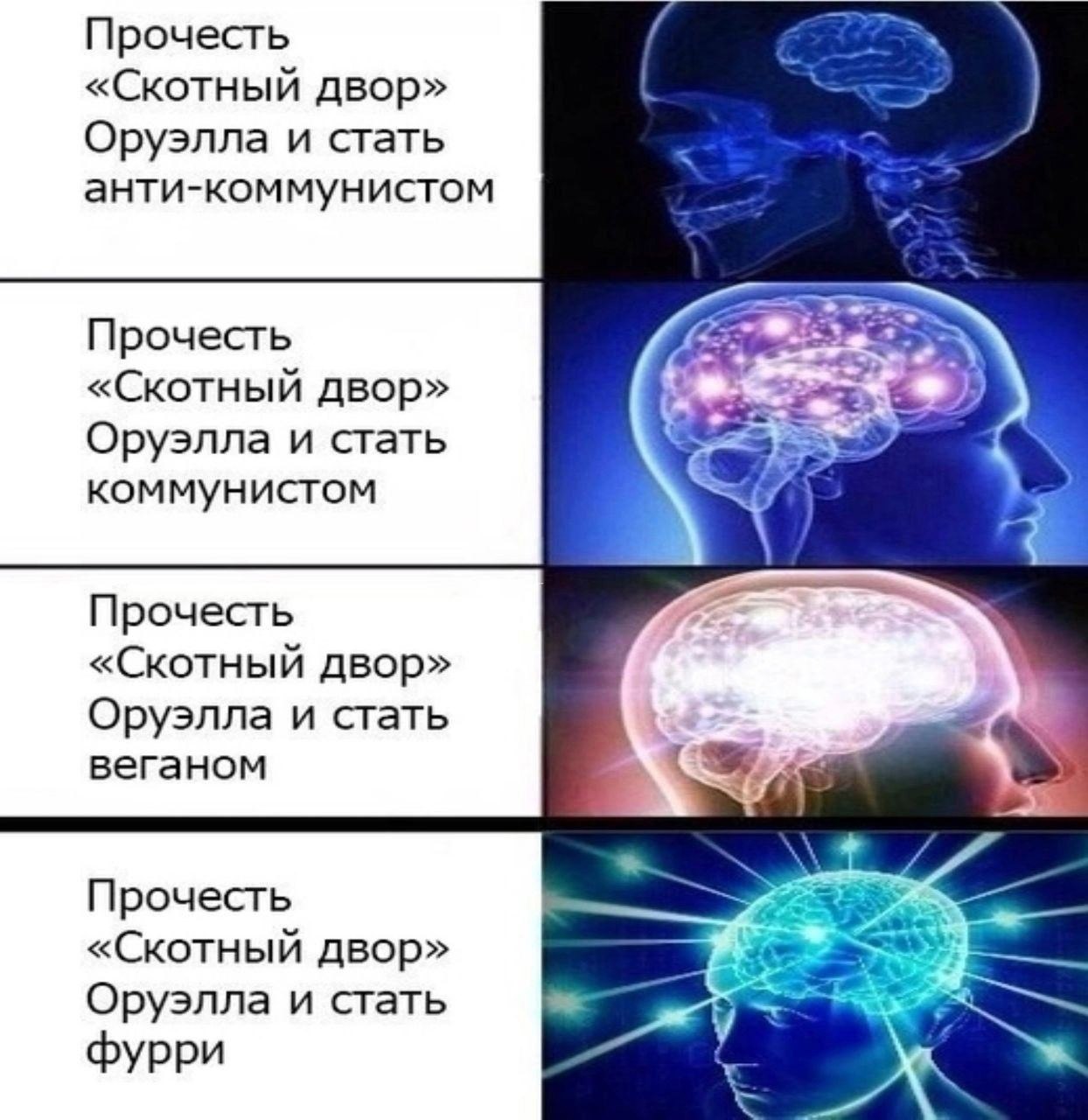 Прочесть «Скотный двор» Оруэлла и стать анти-коммунистом Прочесть «Скотный двор» Оруэлла и стать коммунистом Прочесть «Скотный двор» Оруэлла и стать веганом Прочесть «Скотный двор» Оруэлла и стать фур