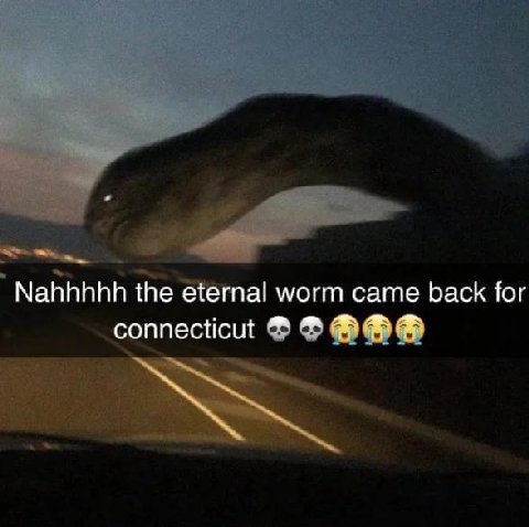 Nahhhhh the eternal worm came back for connecticut