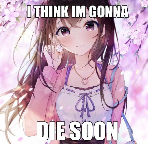 tit S=DIESOON