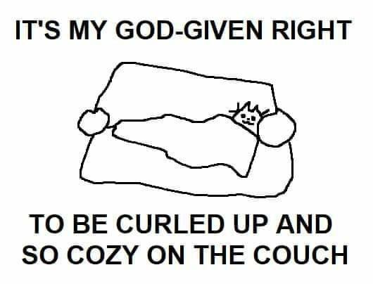 GOD-GIVEN RIGHT TO BE CURLED UP AND SO COZY ON THE COUCH