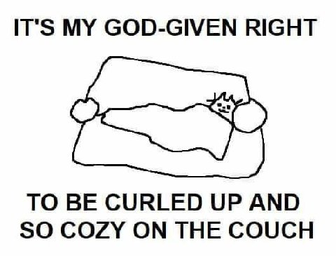 GOD-GIVEN RIGHT TO BE CURLED UP AND SO COZY ON THE COUCH