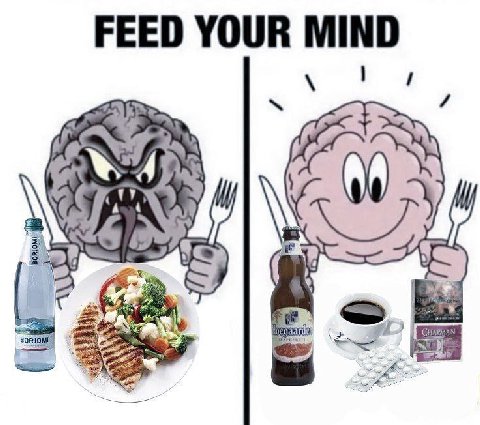FEED YOUR MIND BORJOME
