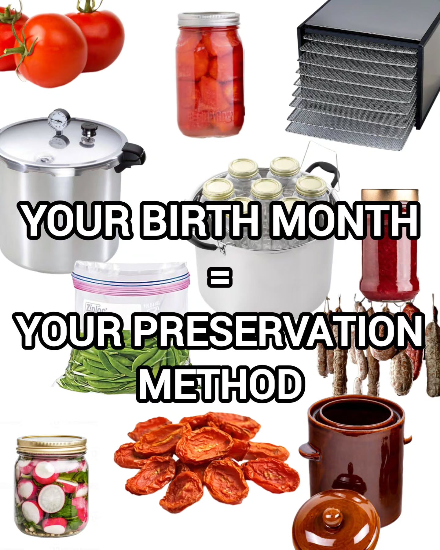 YOUR BIRTH! MONTH 8 PRESERVATION