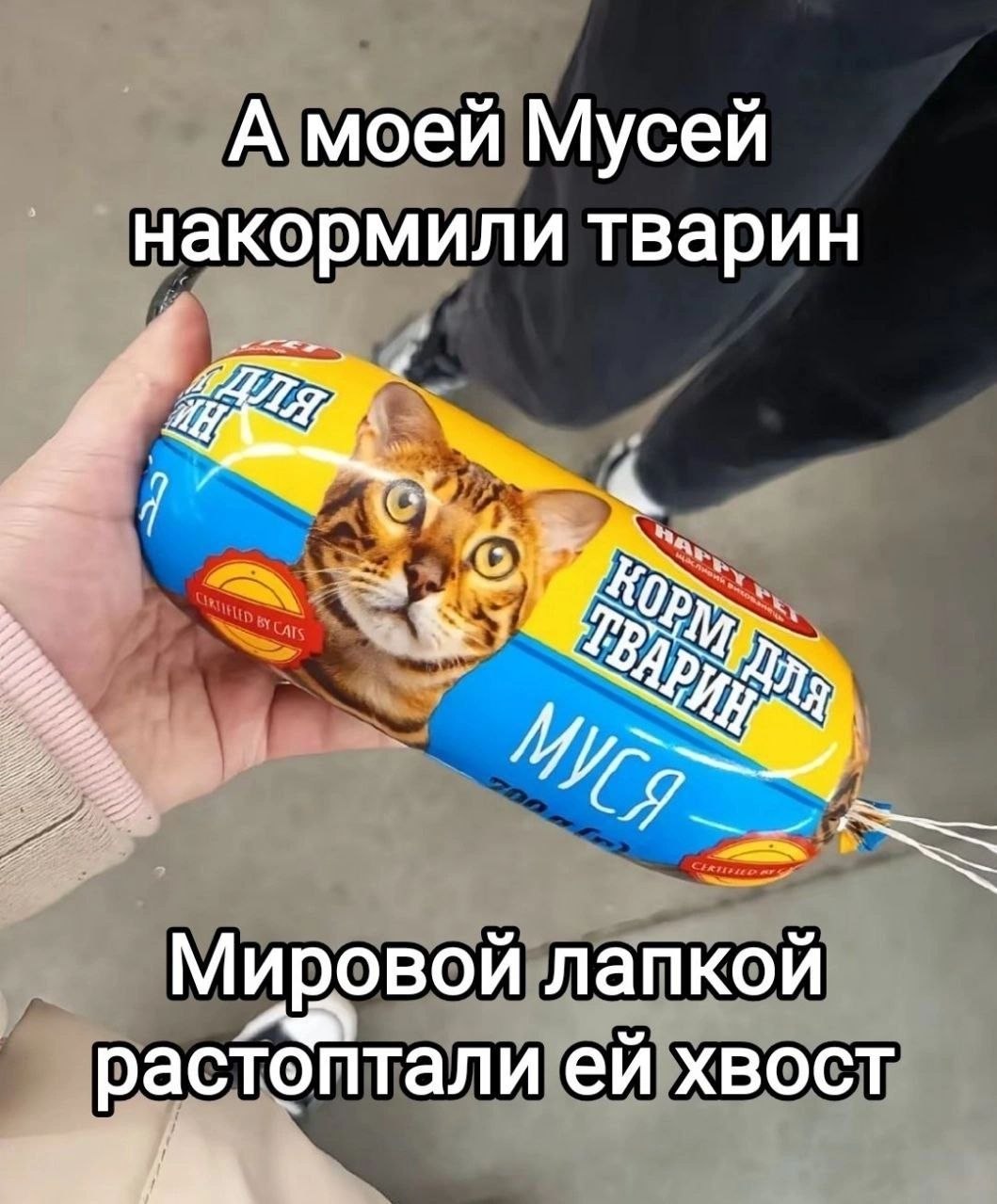 А моей Мусей накормили тварин Мировой лапкой растоптали хвост