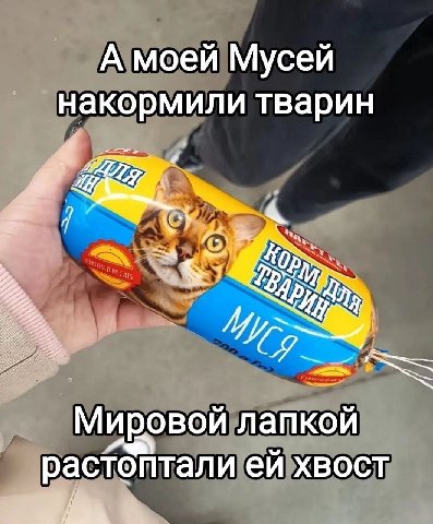 А моей Мусей накормили тварин Мировой лапкой растоптали хвост