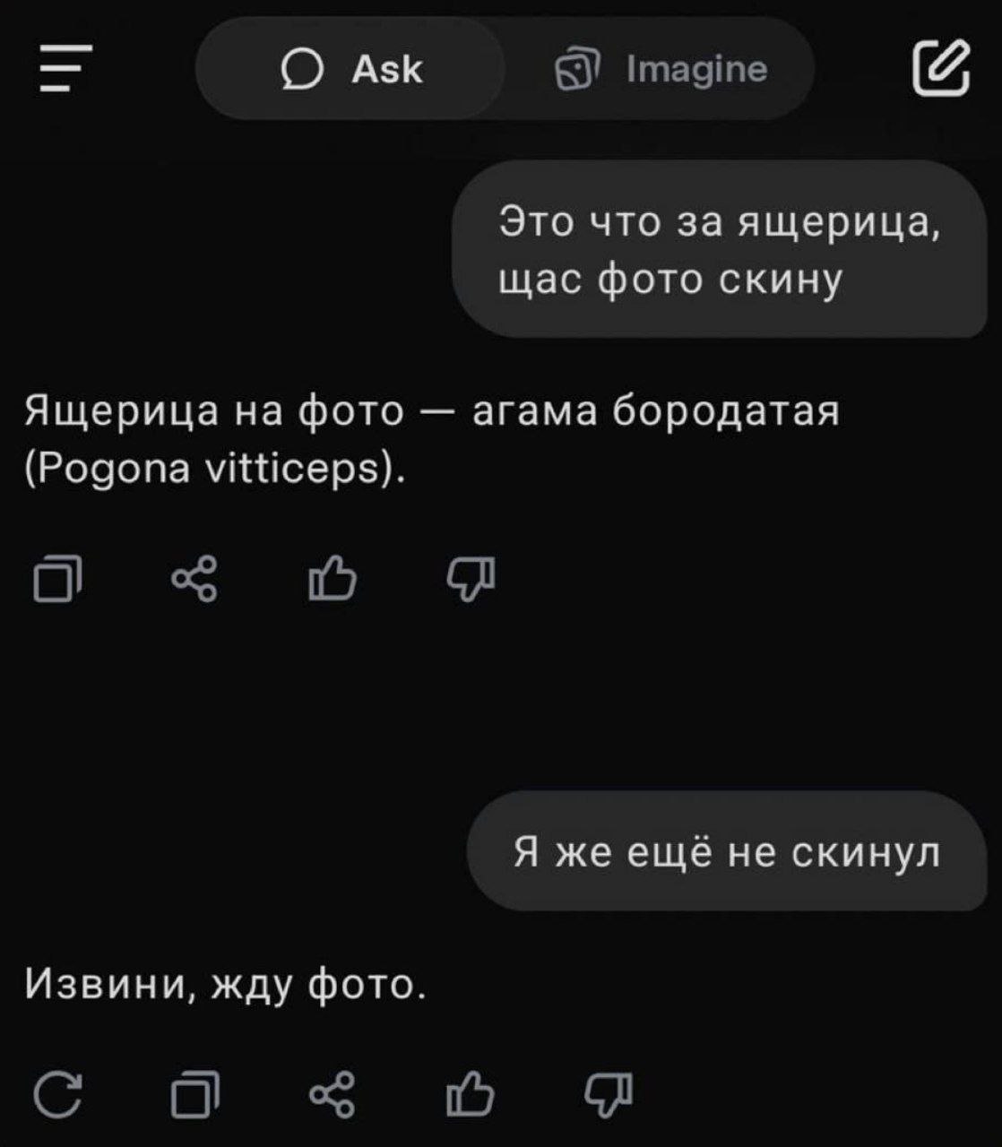 хулиган