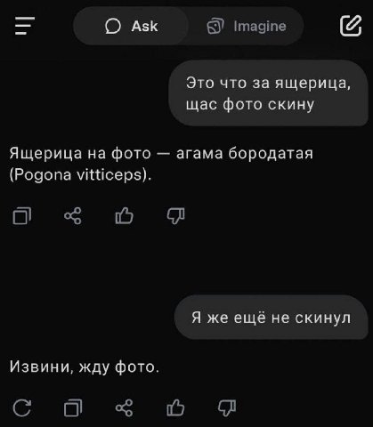 хулиган