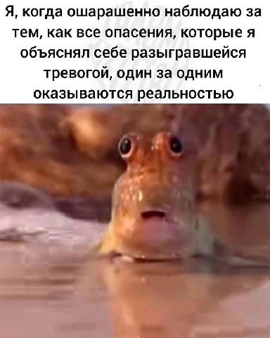Я, когда ошарашенно наблюдаю за тем, как все опасения, которые я объяснял себе разыгравшейся тревогой, один за одним оказываются реальностью
