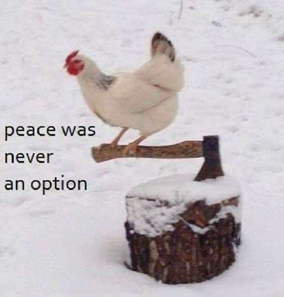 peace was an option
