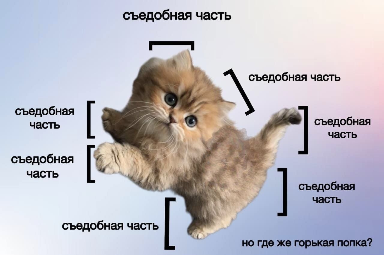 съедобная часть съедобная часть съедобная часть съедобная часть съедобная часть съедобная часть съедобная часть но где же горькая попка?