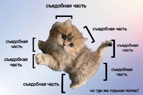 съедобная часть съедобная часть съедобная часть съедобная часть съедобная часть съедобная часть съедобная часть но где же горькая попка?