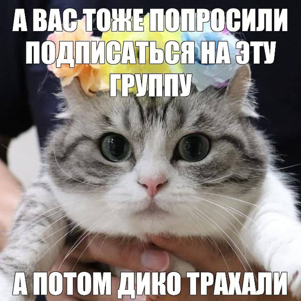 A 4 ПОТОМ ДИКО ТРАКАЛИ