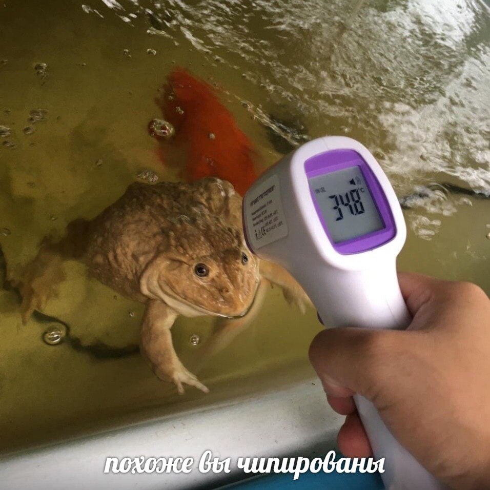К