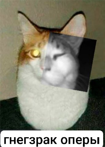 гнегзрак оперы