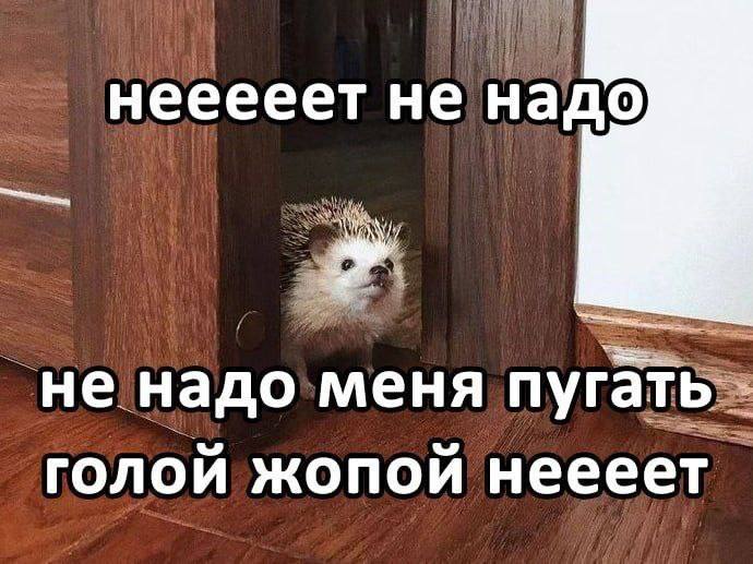 нееееет не надо не надо меня пугать голой жопой неееет