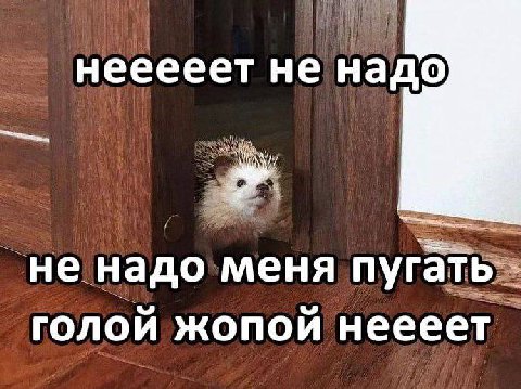 нееееет не надо не надо меня пугать голой жопой неееет