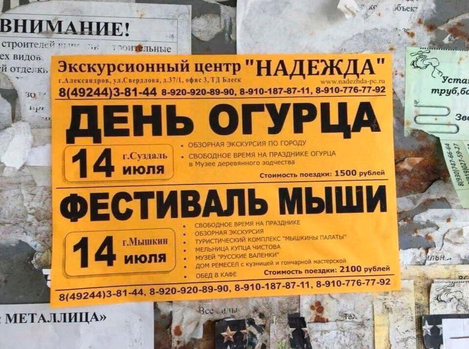 ВНИМАНИЕ! строител в отделкь центр "НАДЕЖ ул.С верллова, офис 3, Блеск www.nadezhda-pe 30 8 49244)3-81-44 8-920-920-89-90, 8-910-187-87-11, 8.910-776-77-92 mpy6, ОГУРЦА ОБЗОРНАЯ ЭКСКУРСИЯ ПО ГОРОДУ a 