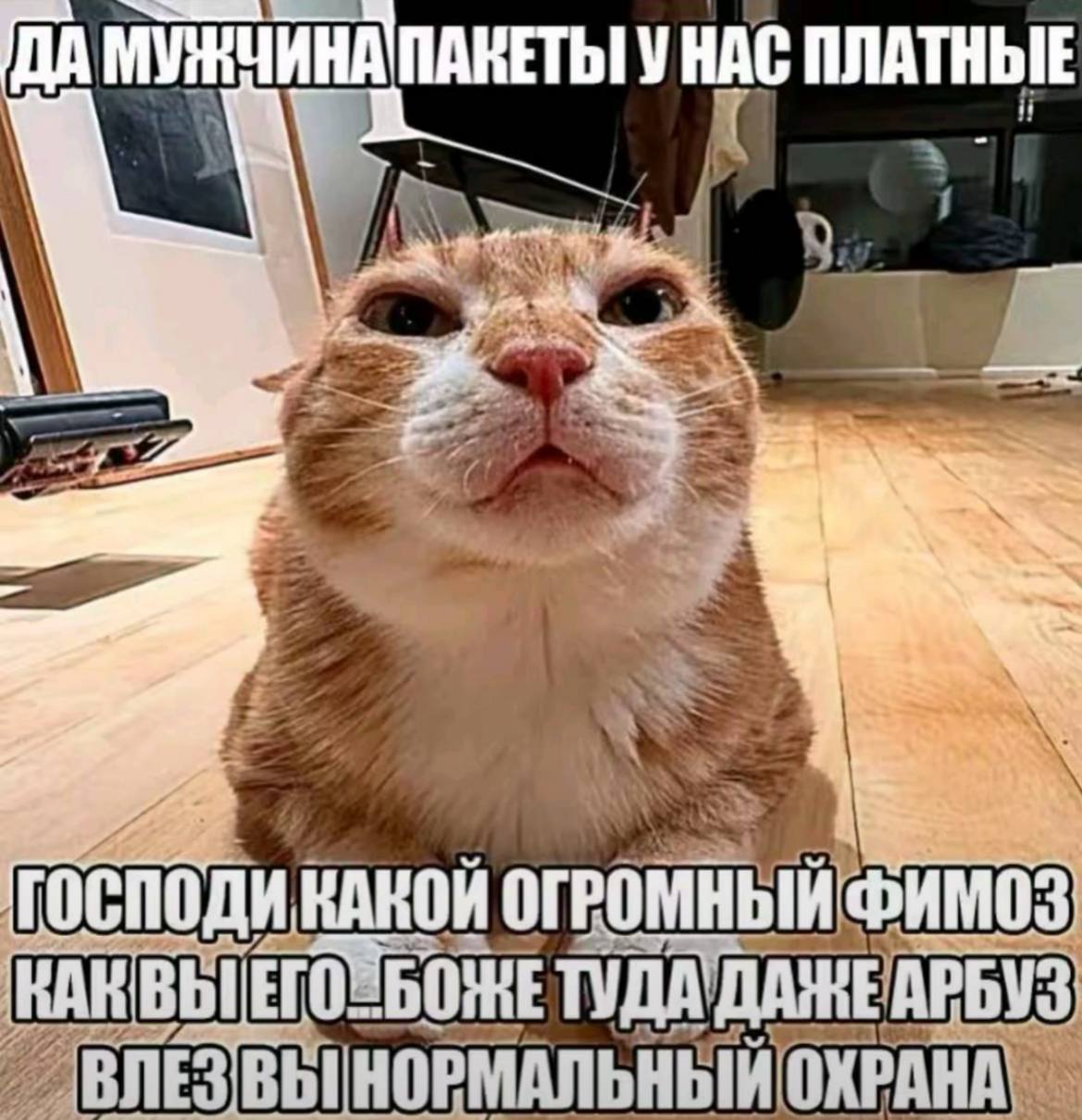 1 ПАКЕТЫ УНАС ПЛАТНЫЕ А ОГРОМНЫЙ ФИМОЗ КАКВЫ ТУДА Yes, ВЛЕЗВЫ НОРМАЛЬНЫЙ ОХРАНА