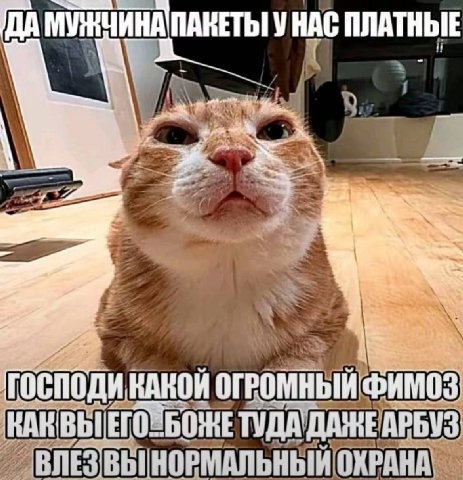 1 ПАКЕТЫ УНАС ПЛАТНЫЕ А ОГРОМНЫЙ ФИМОЗ КАКВЫ ТУДА Yes, ВЛЕЗВЫ НОРМАЛЬНЫЙ ОХРАНА