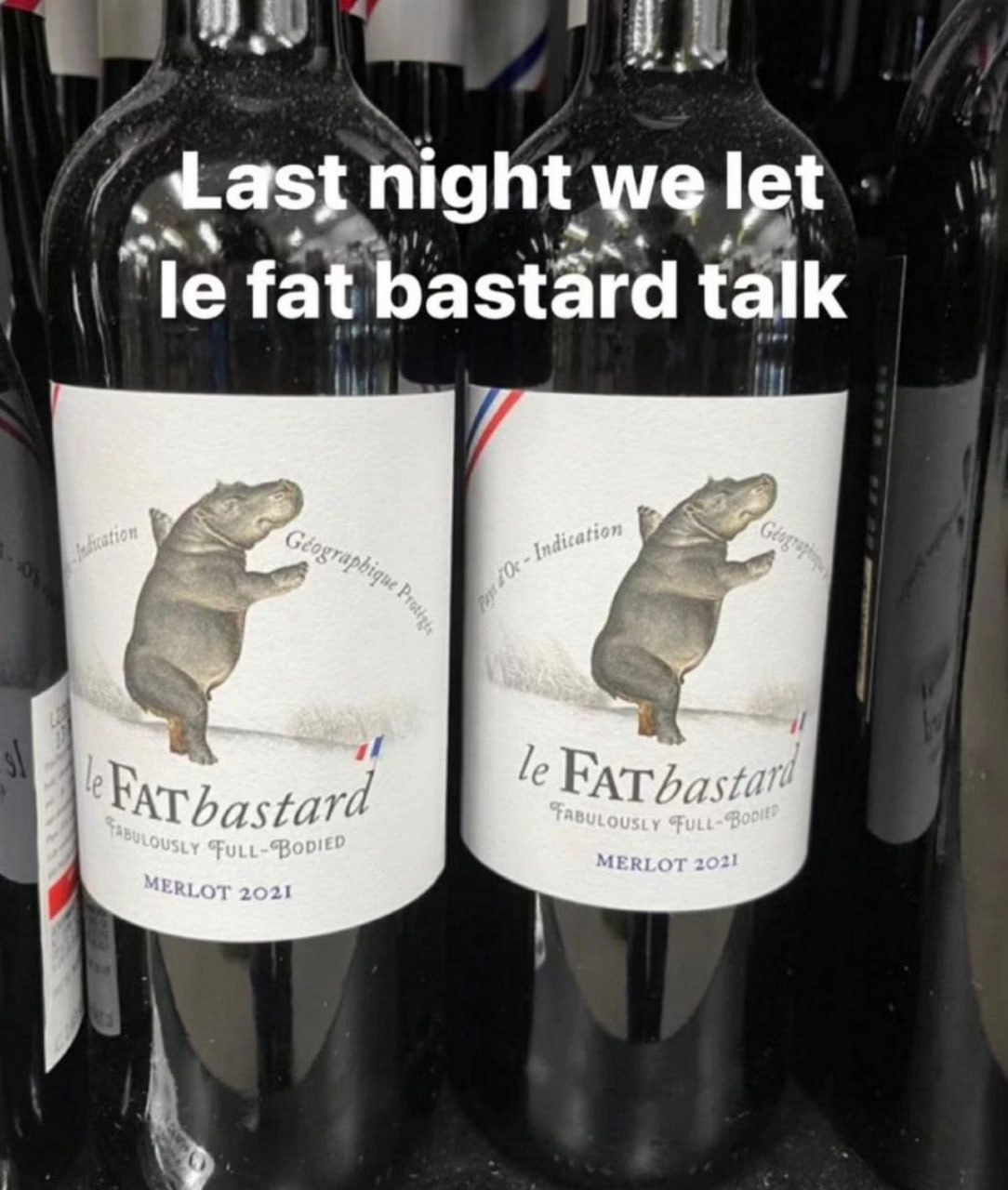 Last night we Iet fat bastard talk on MERLOT 2021 MERLOT 2021