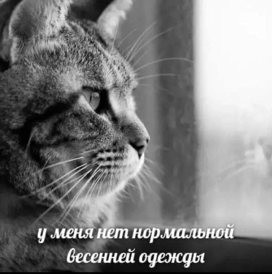 меня нет нормальной бесенней одежды