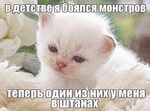 MOHC ULL (3 MeHa у