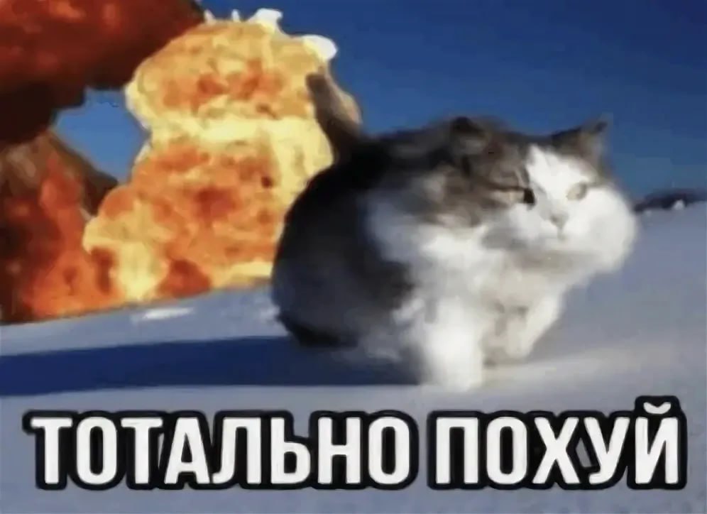 ТОТАЛЬНО ПОХУЙ