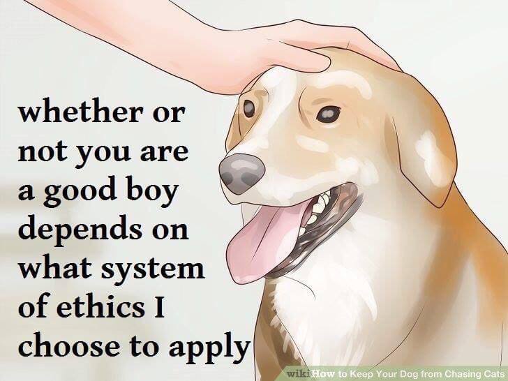 whether not you are a good boy depends on what system of ethics I choose to apply|