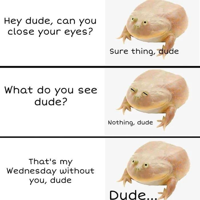 Hey dude, can you close your eyes? Sure thing, What you see dude? Nothing, dude That's my Wednesday without you, dude Dud