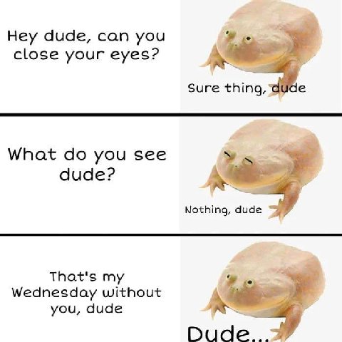 Hey dude, can you close your eyes? Sure thing, What you see dude? Nothing, dude That's my Wednesday without you, dude Dud