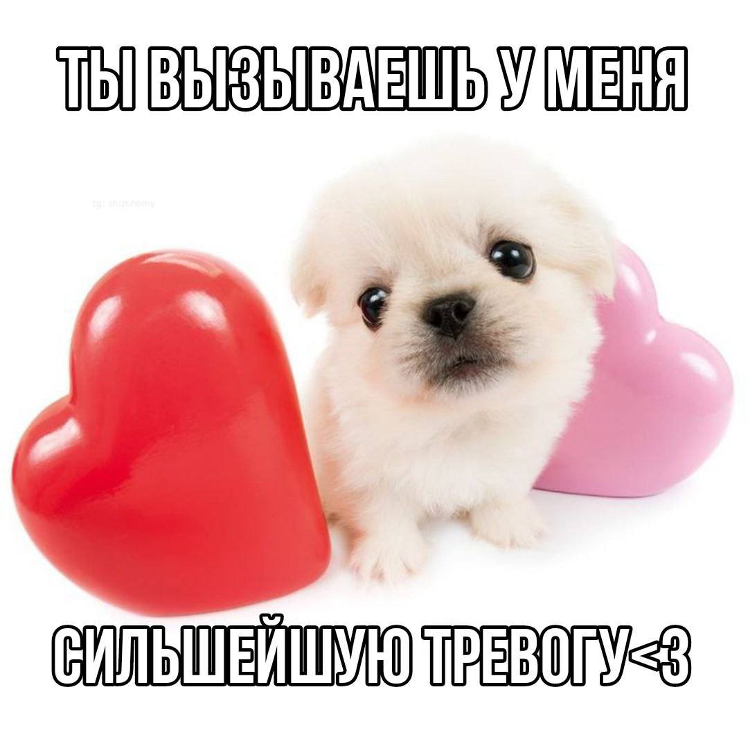 ПЫВЫЗЫВАЕШЬДМЕНЯ ‘s ы № a ВИЛЬШЕЙШУОТРЕВОВУ Е