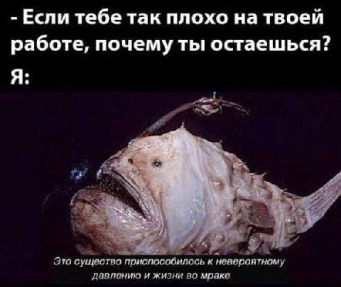 Если тебе так плохо на твоей работе, почему ты остаешься? Я: у A Это существо приспособилось к невероятному давлению и жизни во мраке