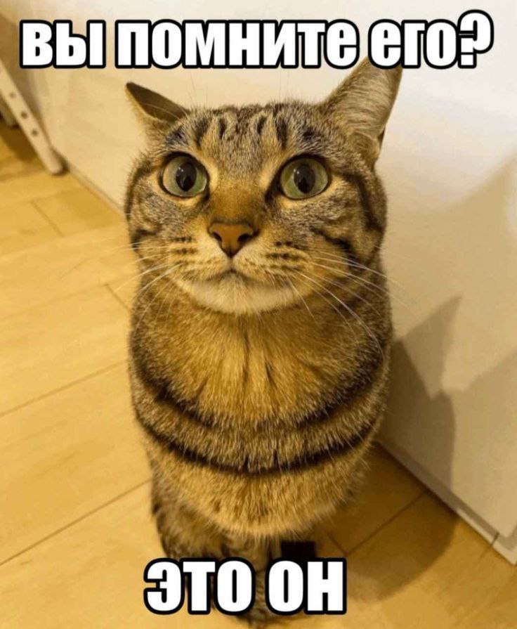 JTO