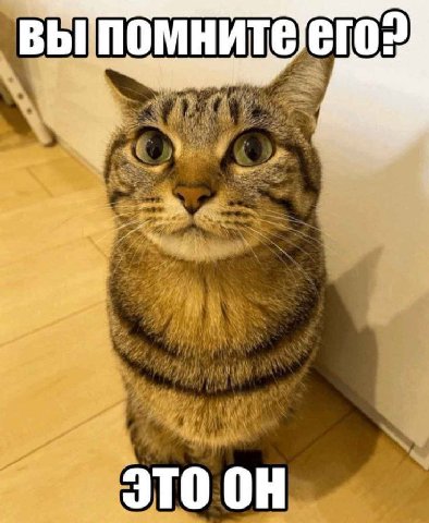 JTO