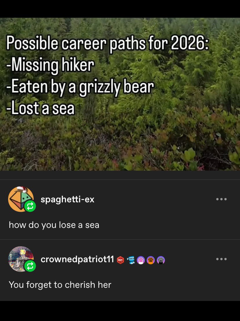Possible career paths for 2026 -Missing hiker -Eaten a grizzly bear -Lostasea spaghetti-ex how you lose a sea You forget to cherish her