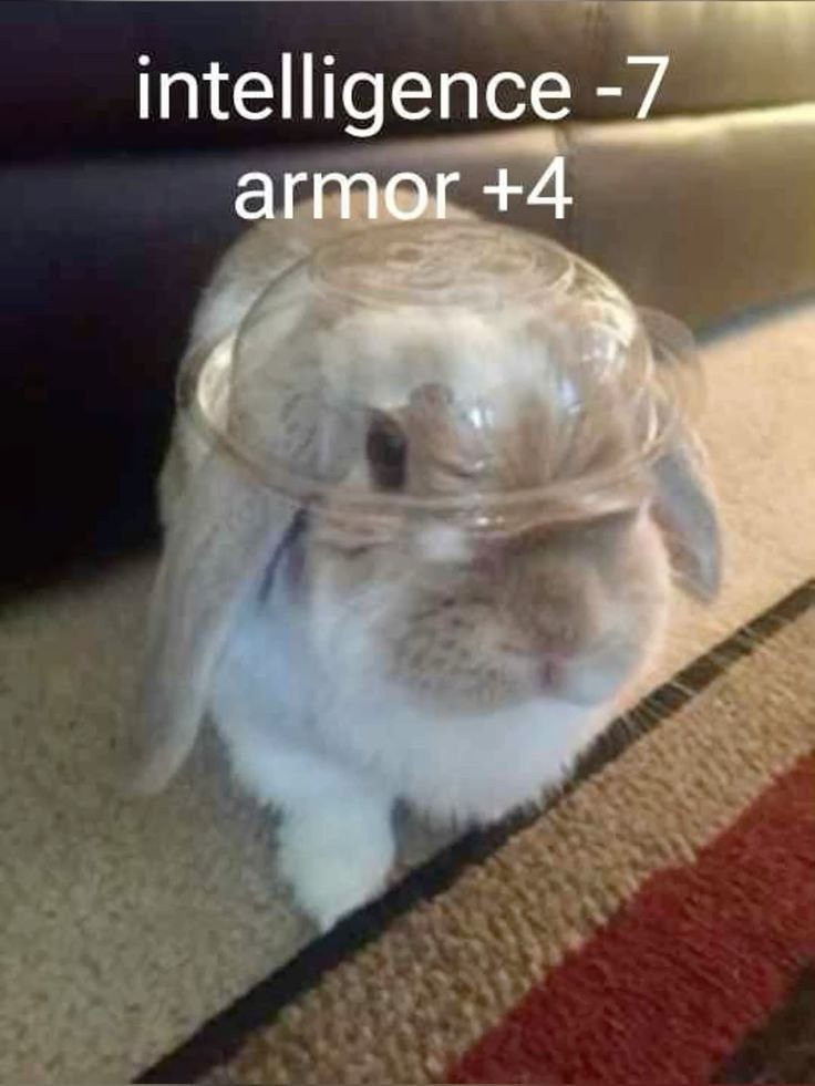 intelligence armor +4 1