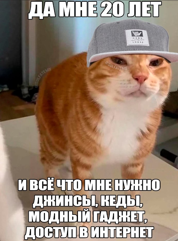 ДА МНЕ 20 ЛЕТ И ВСЕЧТО МНЕ НУЖНО КЕДЫ, 4 МОДНЫЙ ГАДЖЕТ, ДОСТУП В ИНТЕРНЕТ
