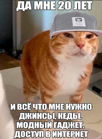ДА МНЕ 20 ЛЕТ И ВСЕЧТО МНЕ НУЖНО КЕДЫ, 4 МОДНЫЙ ГАДЖЕТ, ДОСТУП В ИНТЕРНЕТ