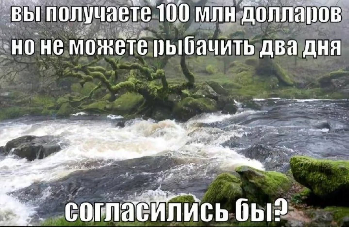 вы получаете 100 млн долларов но не можете рыбачить два дня бы?