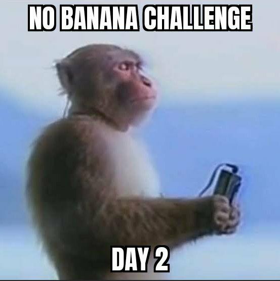 DAY 2