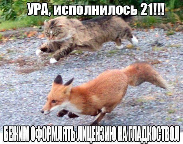 УРА, исполнилось 21 5