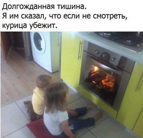 Долгожданная тишина. Я сказал, что если не смотреть, курица убежит.