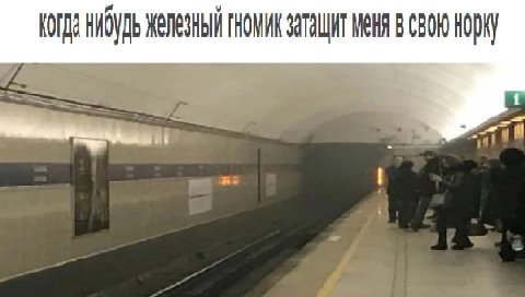 ЖеЛезный ГНОМИК ЗАТаЩИТ Меня В СВОЮ порку 2