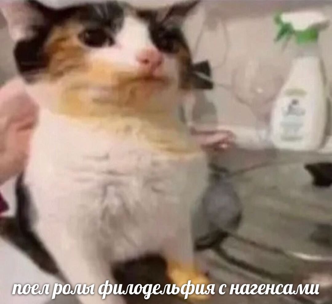 noea ролы филодельфия с нагенсами